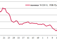 Ціни на зерно